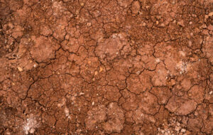Digging in Oklahoma Clay Soil